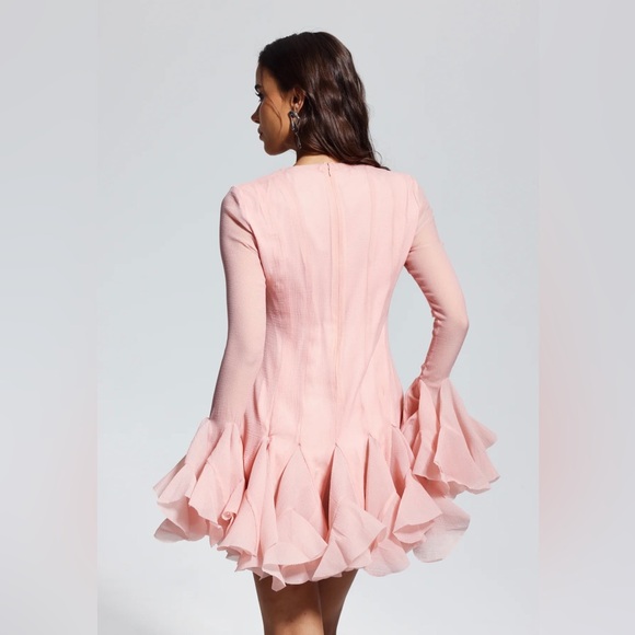 McCarthy Mesh Ruffle
Mini Dress In Pink. Size: Small - Picture 5 of 5